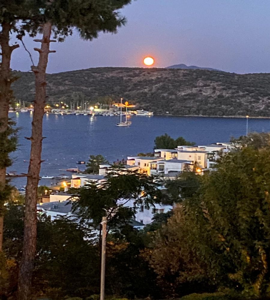 BODRUM AKTURDA ÖN SIRADA KAPANMAZ DENİZ MANZARALI SATILIK VİLLA